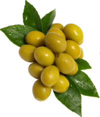 Aceitunas