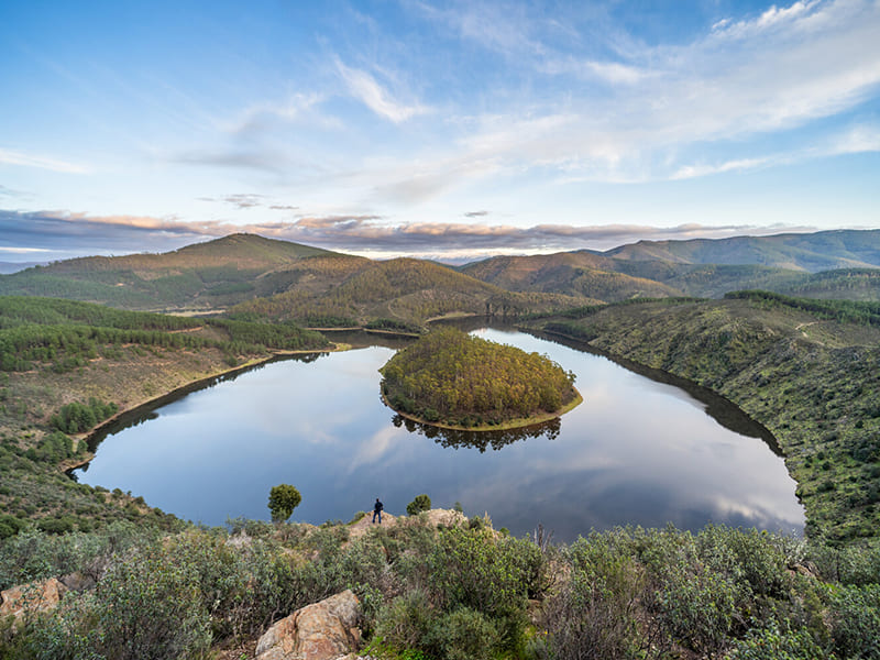 Jacoliva, de Extremadura a USA con Made in Spain Gourmet